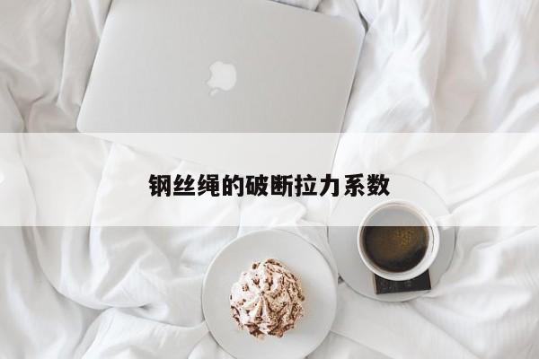 钢丝绳的破断拉力系数