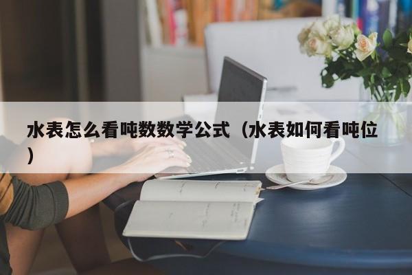 水表怎么看吨数数学公式（水表如何看吨位 ）