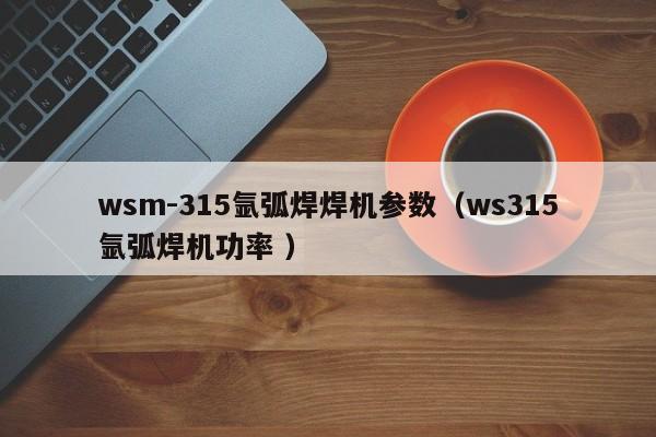 wsm-315氩弧焊焊机参数（ws315氩弧焊机功率 ）