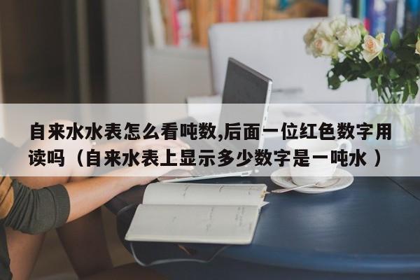 自来水水表怎么看吨数,后面一位红色数字用读吗（自来水表上显示多少数字是一吨水 ）